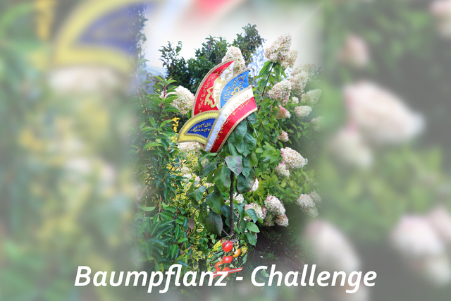 baumpflanz-challenge